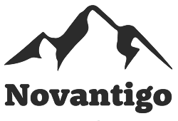 AVANA Services Group